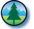 Tree Icon